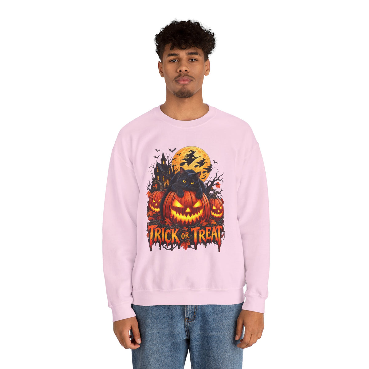 Trick or Treat Pumpkin Cat Sweatshirt | Halloween Jack-O'-Lantern Crewneck