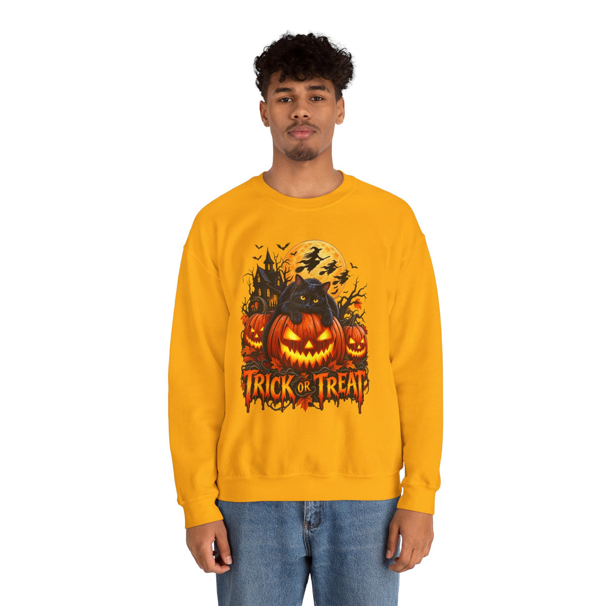 Trick or Treat Pumpkin Cat Sweatshirt | Halloween Jack-O'-Lantern Crewneck