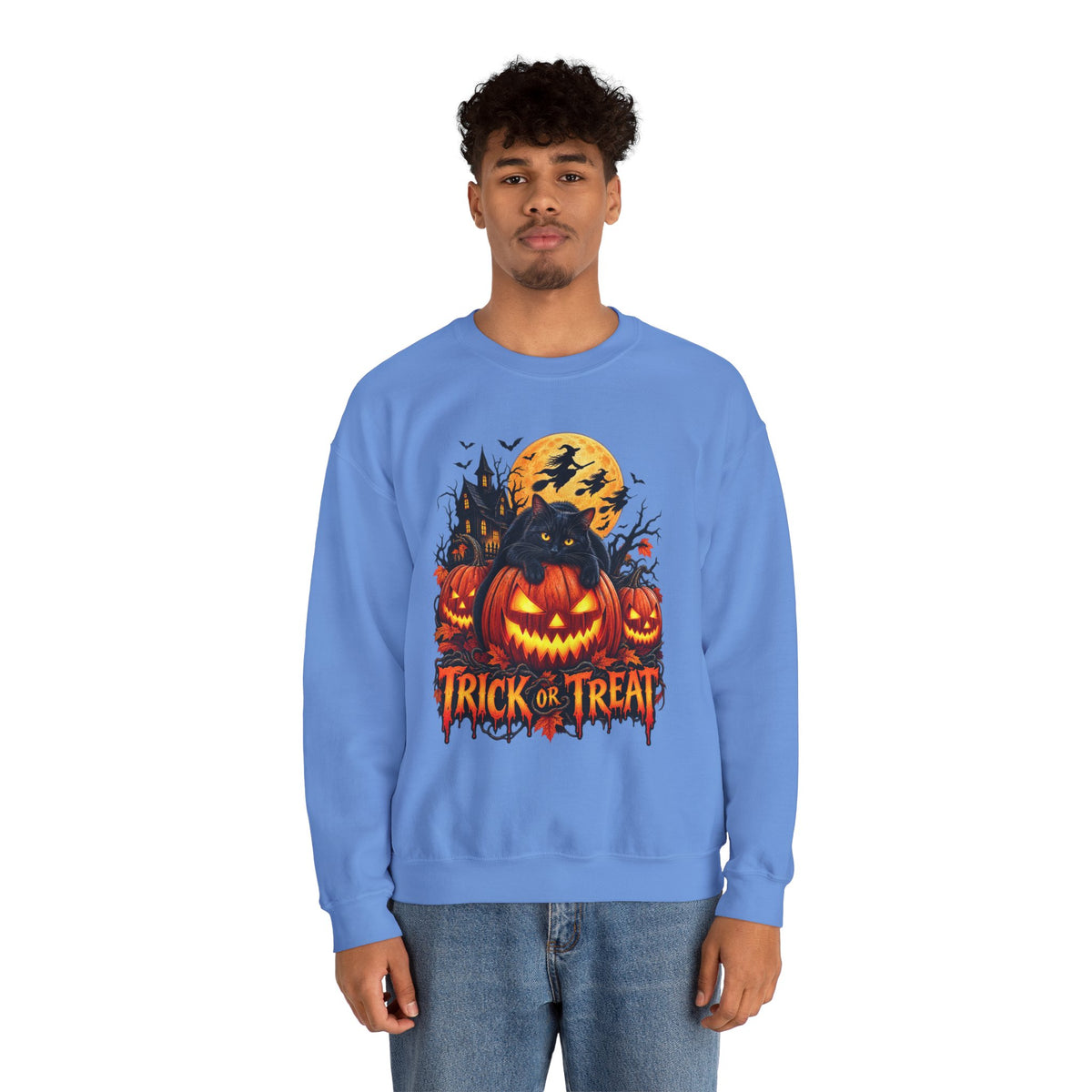 Trick or Treat Pumpkin Cat Sweatshirt | Halloween Jack-O'-Lantern Crewneck