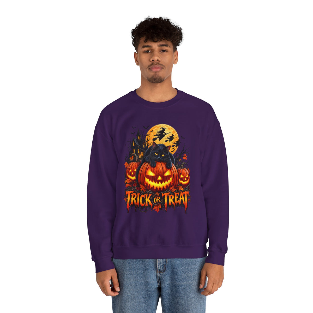 Trick or Treat Pumpkin Cat Sweatshirt | Halloween Jack-O'-Lantern Crewneck
