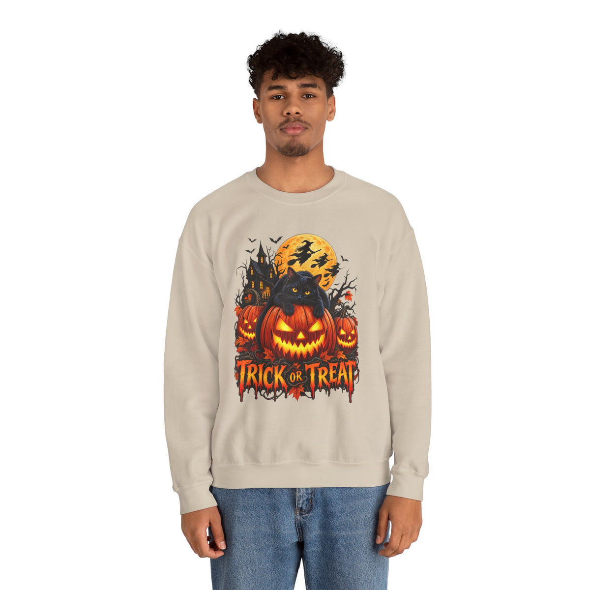 Trick or Treat Pumpkin Cat Sweatshirt | Halloween Jack-O'-Lantern Crewneck