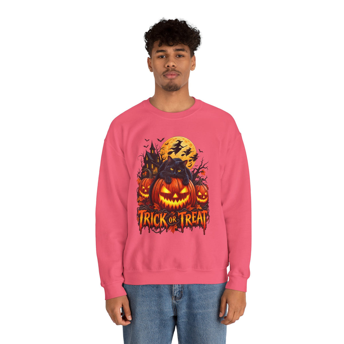 Trick or Treat Pumpkin Cat Sweatshirt | Halloween Jack-O'-Lantern Crewneck